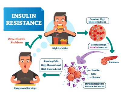 Why has insulin resistance become a term that appears frequently in medical tests recently?